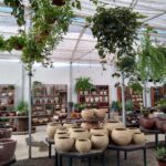 banner cd flores e plantas